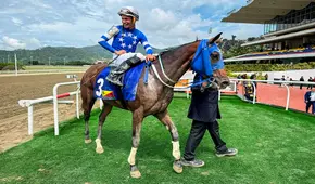 Cuánto pagó el 5y6 La Rinconada del 3 de agosto: monto sellado de la R29 y dividendos para los cuadros con 5 o 6 aciertos, según el INH