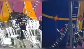 Perrito es obligado a hacer acrobacias en circo en Chincha: autoridades intervinieron local