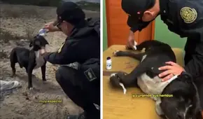 De la calle al uniforme: perrito abandonado ahora es policía en Laredo