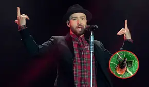 ¿Qué es la enfermedad de Lyme? El padecimiento que enfrenta Justin Timberlake y cómo se manifiesta en el cuerpo