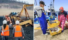 Minería y pesca repuntaron en junio: los factores que impulsaron el resultado, según el INEI