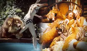 El peligroso rodaje de 'Roar', el filme que usó más de 100 leones y arriesgó la vida de su elenco El peligroso rodaje de 'Roar', el filme que usó más de 100 leones y arriesgó la vida de su elenco