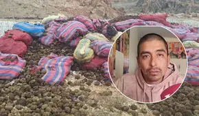 Arequipa: denuncian extracción desmedida de erizo y falta de fiscalización en Caravelí