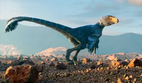 Científicos hicieron un experimento con pollos y logran que se parezcan en algo a los dinosaurios