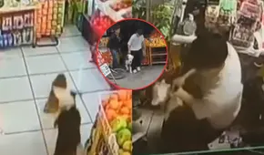 Pitbull mata a perros de raza pequeña en Los Olivos: vecinos denuncian que su dueño lo deja libre