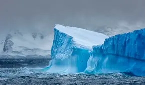 Un hallazgo sorprendió a los científicos de la Antártida al explorar debajo de un iceberg de 30 km desprendido
