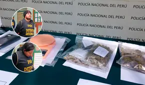 Tacna: capturan a 'Los pitufos' con invernadero de hongos alucinógenos
