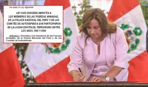 Gobierno publicó la Ley de Amnistía a favor policías y militares que violaron los DD. HH en normas legales