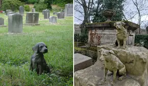 Esta ciudad del Perú se alista para inaugurar el primer cementerio de mascotas en el país: su capacidad es de 500 animales