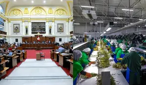 Congreso aprueba Ley Chlimper 2.0 que reduce impuestos a agroexportadoras por 10 años y genera un forado de S/20.000 millones