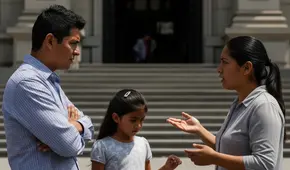 ¿Se puede perder la custodia de un hijo por problemas económicos? Abogado explica el caso según la legislación peruana