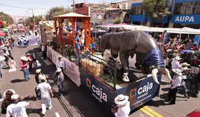 Caja Arequipa celebra el 485° Aniversario de Arequipa con un mensaje de tradición y compromiso con el medio ambiental.