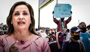 Ley Chlimper 2.0: trabajadores y gremios agrarios exigen a Dina Boluarte que observe la norma