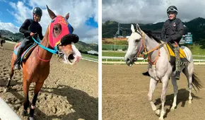 Datos de última hora 5y6 La Rinconada del 17 de agosto: favoritos de la cátedra, pronósticos y resultados de la R31