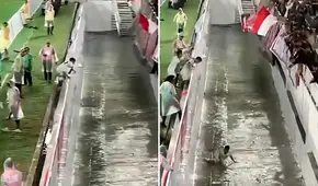 Fue a celebrar un gol a la tribuna, pero terminó cayendo por una fosa de 2 metros y en redes dicen: "Peor es descender" Fue a celebrar un gol a la tribuna, pero terminó cayendo por una fosa de 2 metros y en redes dicen: "Peor es descender"