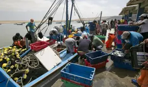 Pescadores jubilados denuncian "pensiones de hambre": más de 20.000 sobreviven con menos de S/500