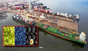 Perú superará a Chile en agroexportaciones este 2025, pero el Congreso premia con reducción de impuestos a un sector ya consolidado