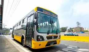Corredor Amarillo volverá a operar con 92 buses en el primer trimestre del 2026, anuncian MTC y ATU