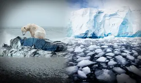 Antártida en fase crítica: cambios "abruptos" acelerados por el clima traería consecuencias catastróficas en el mundo, según investigadores
