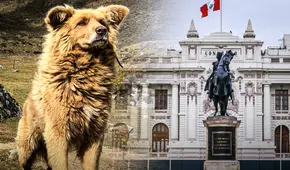 Pastor Chiribaya, el nuevo Patrimonio Cultural de Perú: un legado de la civilización precolombina