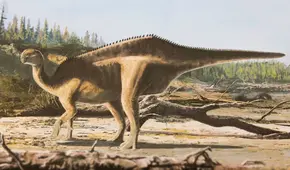 Científicos descubren una nueva especie de dinosaurio con una estructura dorsal en forma de vela en su espalda