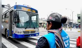 Corredor Azul: nueva ruta alimentadora llegará hasta la av. Faucett, en el límite de SMP con el Callao