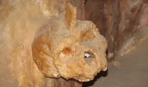 No es neandertal ni humano: un cráneo de hace 300.000 años encontrado en Grecia pertenecería a una especie desconocida