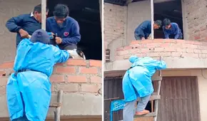 Veterinario sube por una escalera improvisada para vacunar a perro durante campaña y en redes reaccionan: “Tiene vocación de servicio”