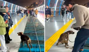 Perrito ‘bautiza’ nuevo Puente de la Paz de Miraflores a pocas horas de su inauguración: “A lo que yo vine fue a esto” Perrito ‘bautiza’ nuevo Puente de la Paz de Miraflores a pocas horas de su inauguración: “A lo que yo vine fue a esto”