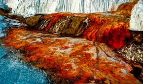 'Cataratas de sangre' en la Antártida, esta es la explicación científica tras el fenómeno en el glaciar Taylor