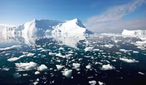 La Antártida sufre un deshielo sin precedentes y pone en riesgo el futuro de millones de personas en las costas del planeta