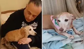 Hombre con discapacidad visual se vuelve viral al reencontrarse con su perro de servicio tras meses de búsqueda: emotiva historia conmueve en redes