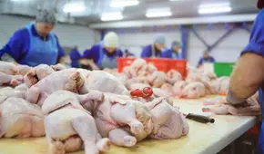 Pollo peruano al mundo: Perú vuelve a exportar aves tras recuperar estatus libre de Influenza Aviar
