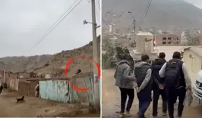 Policías trepan cerro en Manchay para capturar a extorsionadores: tenían armas, explosivos y drogas