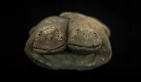 Arqueólogos descubren en Perú escultura de sapos de la civilización más antigua de América: tiene 3.800 años