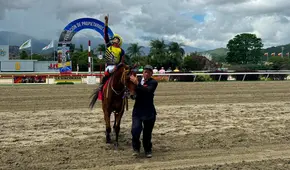 Datos última hora 5y6 La Rinconada hoy, domingo 31 de agosto: favoritos de la cátedra para la reunión 33, resultados y pronósticos
