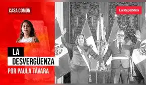 La desvergüenza, por Paula Távara