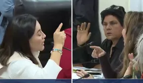 Escándalo en la Comisión de Transportes: Kelly Portalatino y Norma Yarrow protagonizan discusión