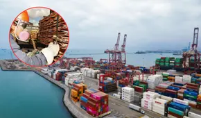 Exportaciones peruanas sumaron US$46.930 millones hasta julio 2025, con crecimiento de 17,1%