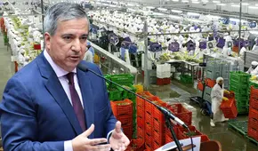 Ley Chlimper 2.0 bajo presión: MEF respalda beneficios tributarios a grandes empresas agroexportadoras