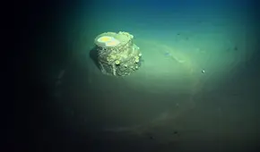 Los científicos por fin descubren lo que hay dentro de unos misteriosos barriles hallados en el fondo del océano