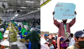 Nueva Ley Agraria: gremios advierten retroceso en derechos laborales y fiscalización