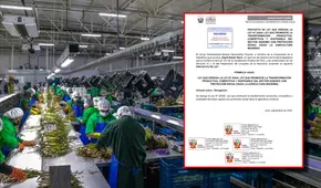 Congreso: proponen derogar ley Chlimper 2.0 que reduce impuestos a grandes agroexportadoras por 10 años