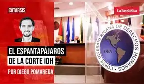 El espantapájaros de la Corte IDH, por Diego Pomareda