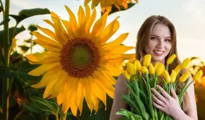¿Por qué se regalan flores amarillas solo los 21 de septiembre y qué significado hay tras la práctica?