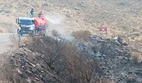 Arequipa: más de 50 especies de flora y fauna afectadas por incendio forestal en faldas del volcán Misti