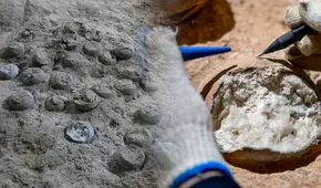 China descubre 28 huevos de dinosaurio de 86 millones de años que revelan una adaptación inédita al clima