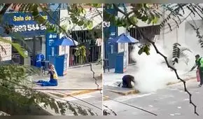 Mujer fue atacada por enjambre de más de 200 abejas en Jesús María: denuncian que no recibió ayuda de empresa que la contrató