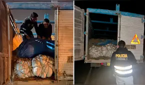 Policía incauta camión con peluches de contrabando en Tacna: estaban ocultos debajo de estiércol Policía incauta camión con peluches de contrabando en Tacna: estaban ocultos debajo de estiércol