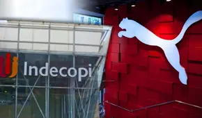Empresa peruana vence a Puma en batalla legal por registro de logo con silueta de lobo: esto dijo Indecopi Empresa peruana vence a Puma en batalla legal por registro de logo con silueta de lobo: esto dijo Indecopi